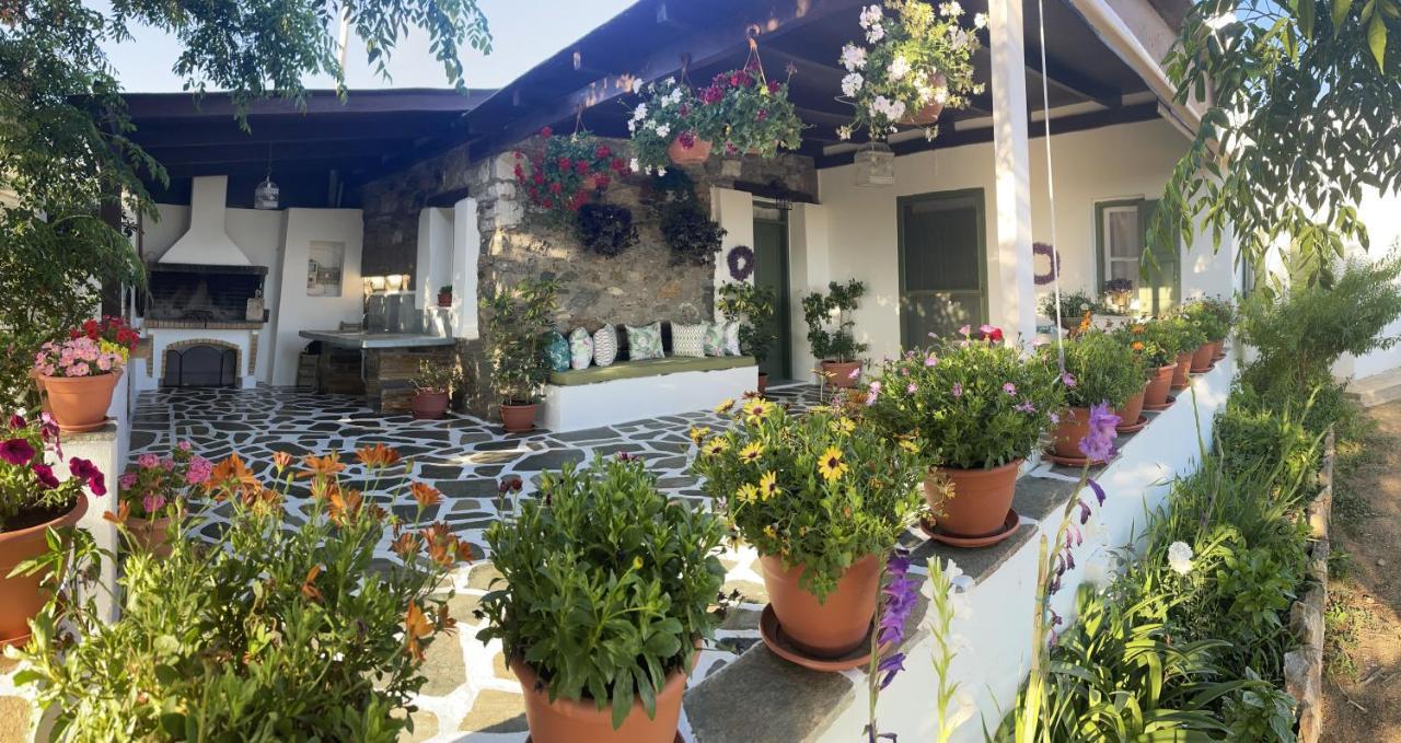 Ktima Dimitrios Naxos City Exterior foto