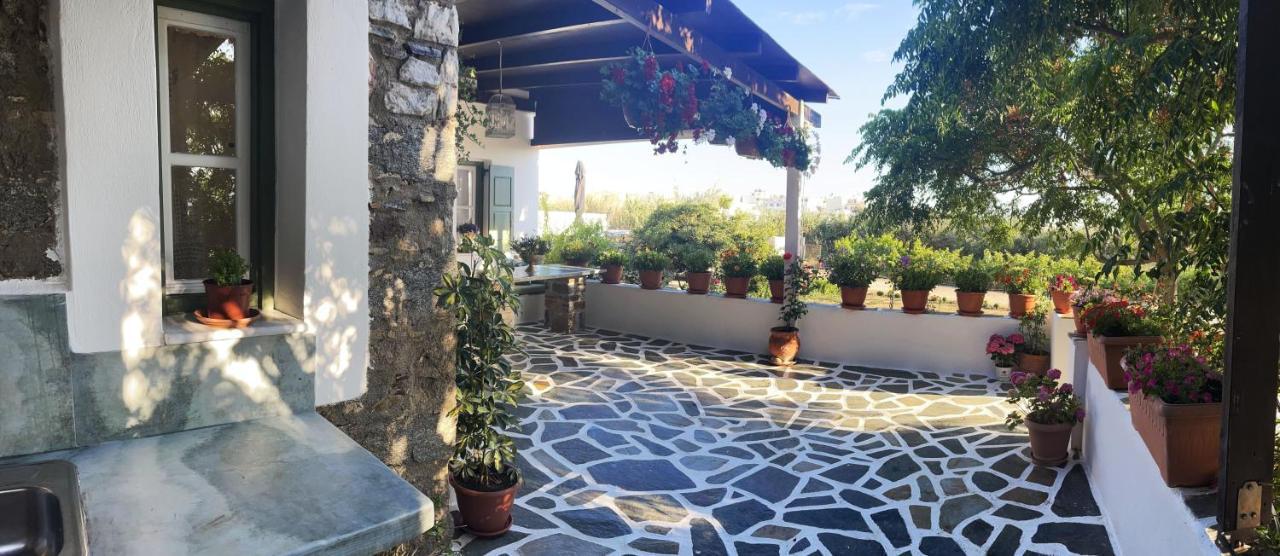 Ktima Dimitrios Naxos City Exterior foto